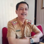 DLHK Karawang Akan Tanam Pohon Terompet Emas Asal Negara Brasil Di Sepanjang Jalan Interchange