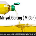 Perbandingan Harga Minyak Goreng di Indonesia dengan Malaysia, Singapura, Thailand, dan Filipina