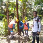 PLN respon Cepat terkait laporan tiang penyanga yang kropos