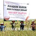 PT.Sharp Electronics Indonesia dan ACT Gelar Acara Panen Raya Padi Bersama Muspika Kecamatan Banyusari