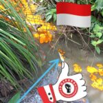 Limbah Minyak Kelapa Sawit PT. Garuda, Jadi Kegelisahan Masyarakat Mesuji.