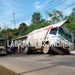 Truk Bermuatan Batu Kapur Limstun, Bertujuan Bongkar ke Pabrik Semen PT Juhsin, Nyungsep Menimpa Tempat Pemotongan Ayam