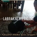 Rumah Warga Tergenang Air  Karena Hujan dan Irigasi Tidak Tertib di Malaka