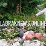 Sampah Menumpuk dan Berceceran Dipinggir Jalan di kampung palasari Desa Cintalanggeng .