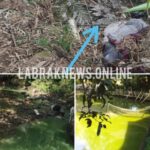 Sekjen DPP BUAS Kecam  Keras Kepada Pihak Pengelola Empang Lele Di Kampung Munjul Kecamatan Tegalwaru