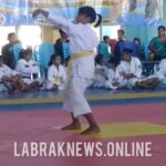 Siswi SD Ikut Kejuaraan Kempo, Membuat Orang Tua Bangga Atas Prestasi yang diraihnya