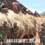 Satgas Pamtas RI-RDTL Terapkan 8 Wajib TNI, Mengatasi Kesulitan Rakyat.