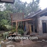 Rumah Tertimpa Pohon Kelapa, Saat Hujan Disertai Angin Kencang