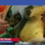 Acara Ulang Tahun Kabupaten Karawang, Menyisakan Moment Nasi Tumpeng Mubadzir