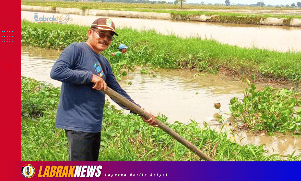 Jelang Musim Tanam, Kades Sumurgede Pimpin Gorol Bersihkan Saluran Sekunder